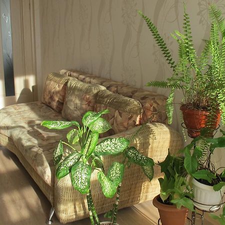 Apartment "Ostrova" Krizsanyivka Kültér fotó