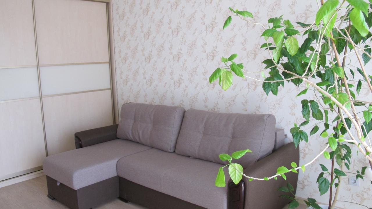 Apartment "Ostrova" Krizsanyivka Kültér fotó